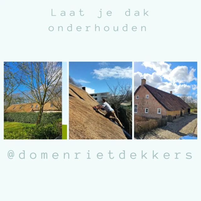 #zon op het #dak . In #oosterhout
Schijnt de ☀️

#onderhoud #dakonderhoud #schoonmaken #dak #rietdekker #rietdekkersbedrijf #riet #bouw #reparatie #roof #thatch #thatchroof #thatching