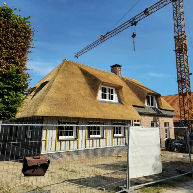 #villa / #boerderij afgerond vandaag 🥳.
#schoorsteen had #vertraging maar de #sint en zijn #piet kunnen hem gebruiken👍🏻

#rietendak #rietdekkers #rietdekker #bouw #dakdekker #dak #nieuwbouw #thatch #thatchedroof #roof #roofing #building #builder #building #construction #craft #craftsmen #craftsman #ambacht #riet #rietdekkersbedrijf