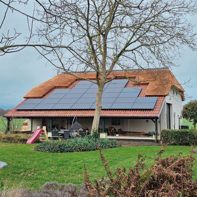 #finished this nice #project in #nispen #today 🥳. Really nice #combo with the #solarpanels this #way .

#solarpower #durability #greenplanet #planetproof #thatch2.0 #builder #thatch #thatchedroof #thatchroof #thatching #rietendak #rietdekker #riet #rietfluencer #barn #schuur