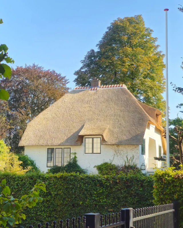 Deze mooie #stadsvilla in de #zandberg in #breda voorzien van een nieuw #rietendak begin dit jaar.